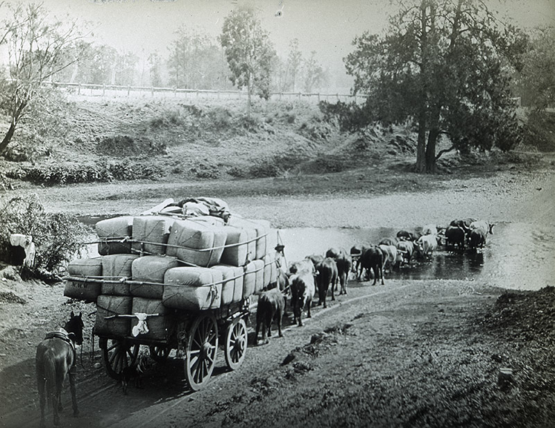 47 - Carting Wool, WA.jpg - 47 - Carting Wool, WA